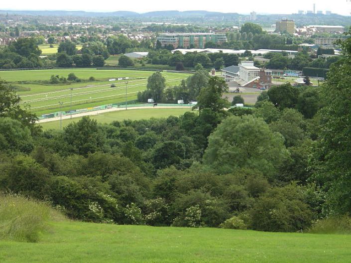 Views of Nottingham Greyhounds