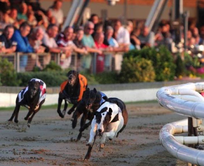 Yarmouth greyhounds racing