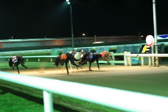 Evening racing at Peterborough
