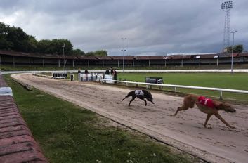 Shawfield greyhounds racing